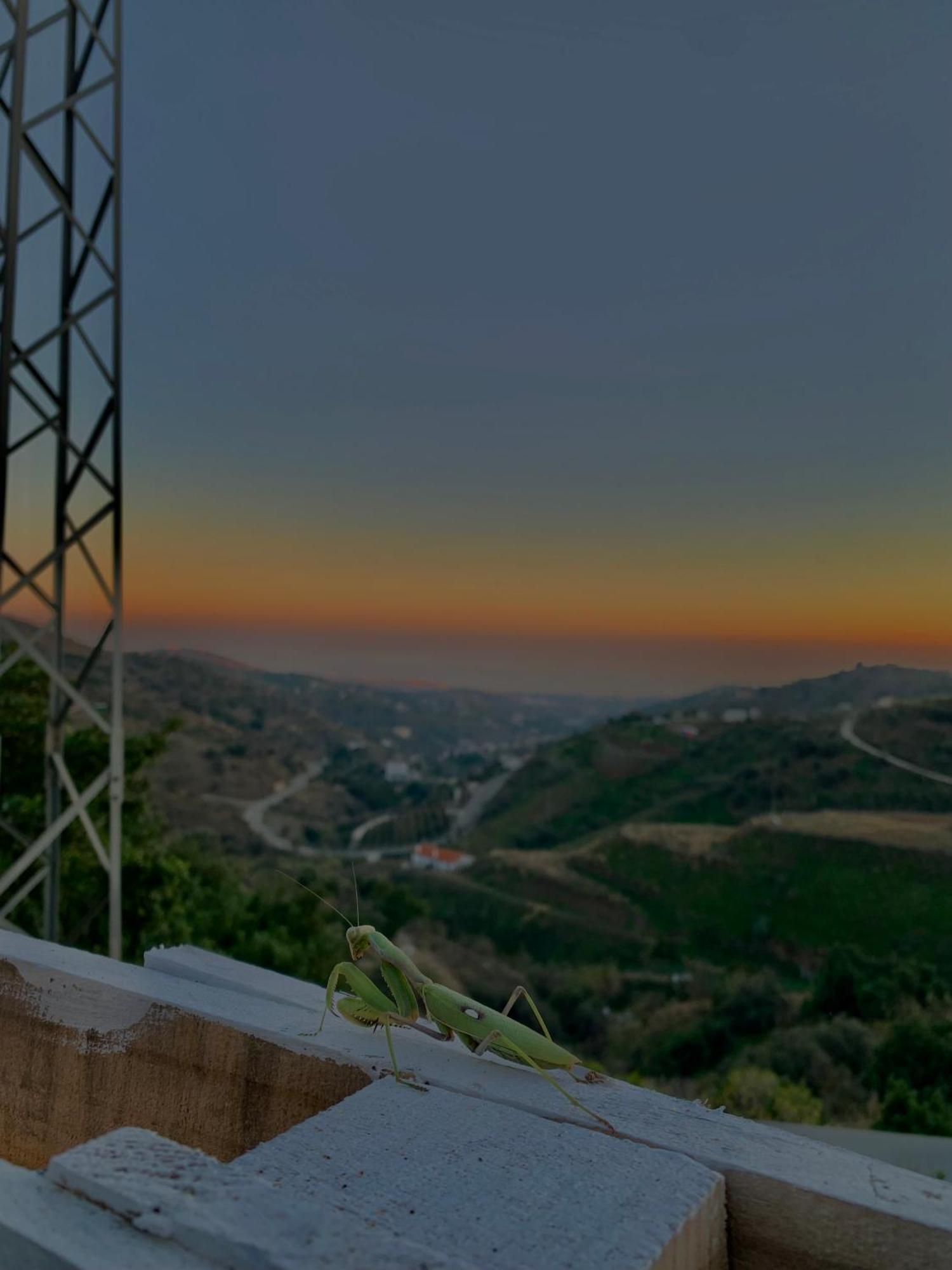 Casa Rural Malaga Monkey Love Con Jacuzzi Iznate Dış mekan fotoğraf